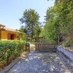 content-gallery-6-large