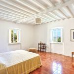 content-gallery-6-large