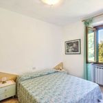 content-gallery-6-large