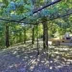 content-gallery-6-large