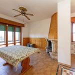 content-gallery-6-large