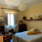 content-gallery-6-large