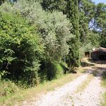 content-gallery-6-large