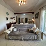 content-gallery-6-large