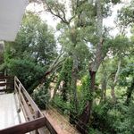 content-gallery-6-large