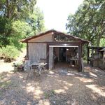 content-gallery-6-large