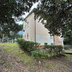 content-gallery-6-large