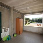 content-gallery-6-large