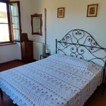 content-gallery-6-large