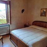 content-gallery-6-large