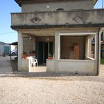 content-gallery-6-large