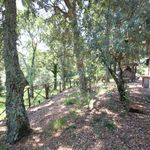 content-gallery-6-large