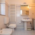 content-gallery-6-large