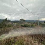 content-gallery-6-large