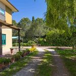 content-gallery-6-large