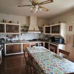 content-gallery-6-large