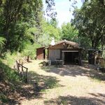 content-gallery-6-large