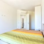 content-gallery-6-large