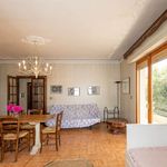 content-gallery-6-large