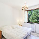 content-gallery-6-large