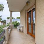 content-gallery-6-large