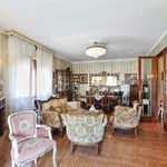 content-gallery-6-large