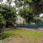 content-gallery-6-large