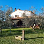 content-gallery-6-large