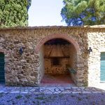 content-gallery-6-large