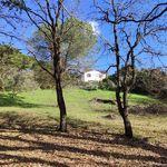 content-gallery-6-large