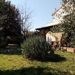 content-gallery-6-large