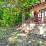 content-gallery-6-large