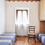 content-gallery-6-large