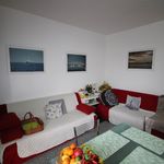 content-gallery-6-large