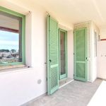 content-gallery-6-large