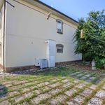 content-gallery-6-large