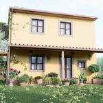 content-gallery-6-large