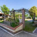 content-gallery-6-large