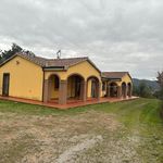 content-gallery-6-large