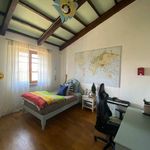 content-gallery-6-large