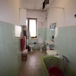 content-gallery-6-large