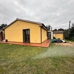 content-gallery-6-large