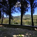 content-gallery-6-large