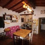 content-gallery-6-large