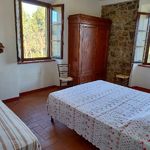 content-gallery-6-large