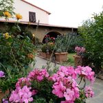 content-gallery-6-large