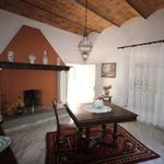 content-gallery-6-large