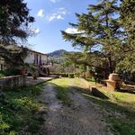 content-gallery-6-large