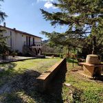 content-gallery-6-large