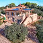 content-gallery-6-large